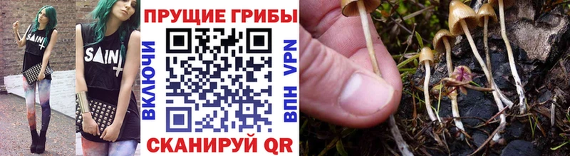 Галлюциногенные грибы мухоморы Новотитаровская